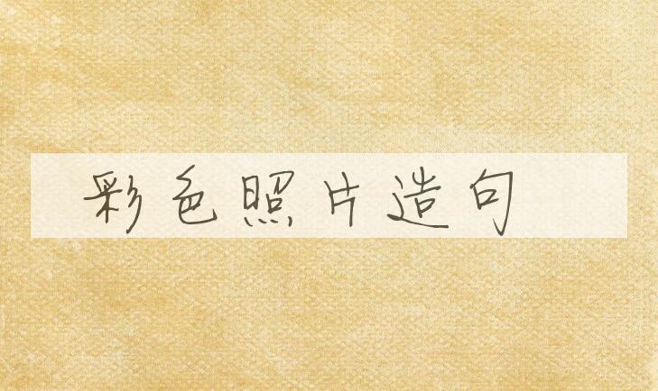 用彩色照片造句