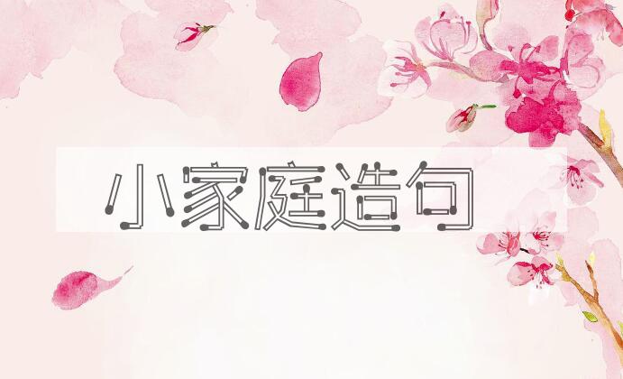 用小家庭造句