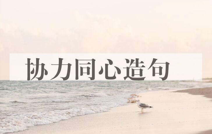 用协力同心造句