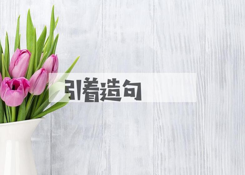 用引着造句