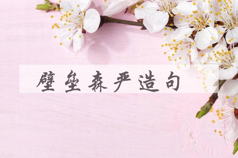 用壁垒森严造句