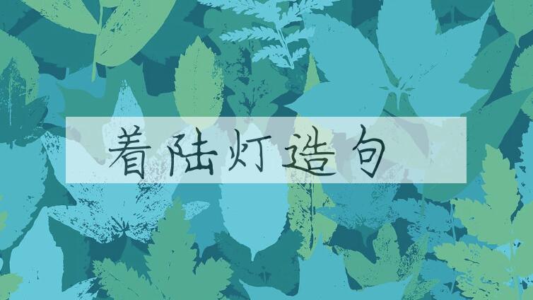 用着陆灯造句