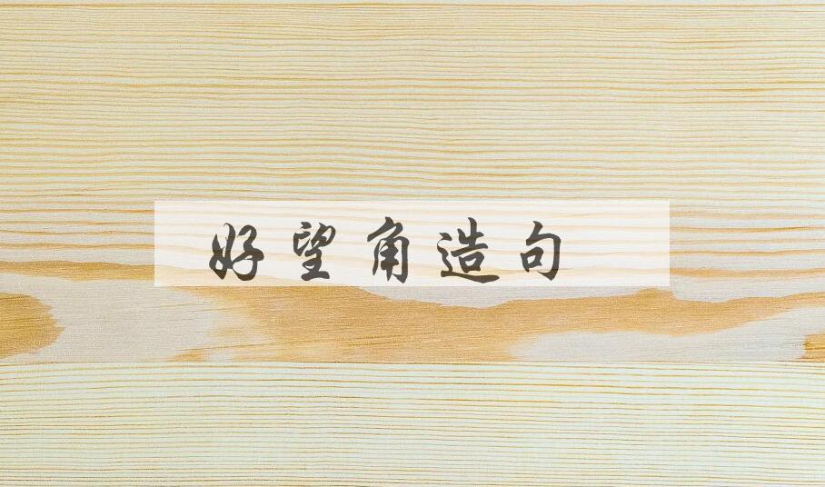 用好望角造句