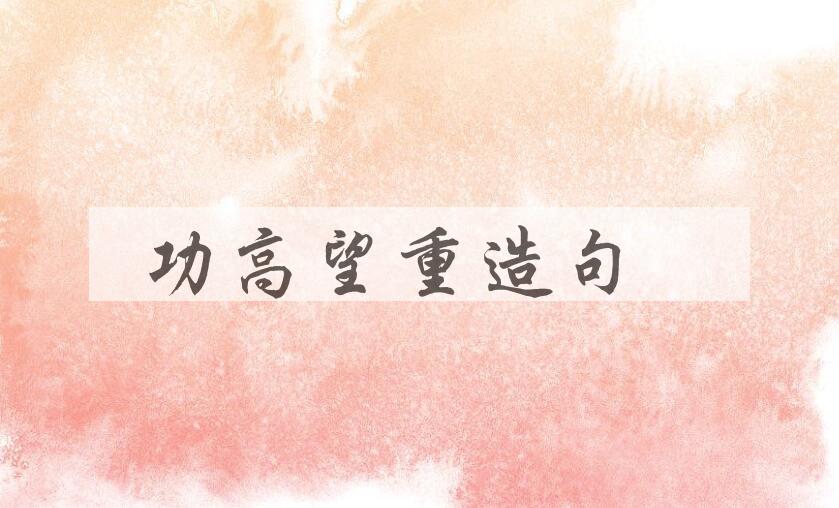 用功高望重造句