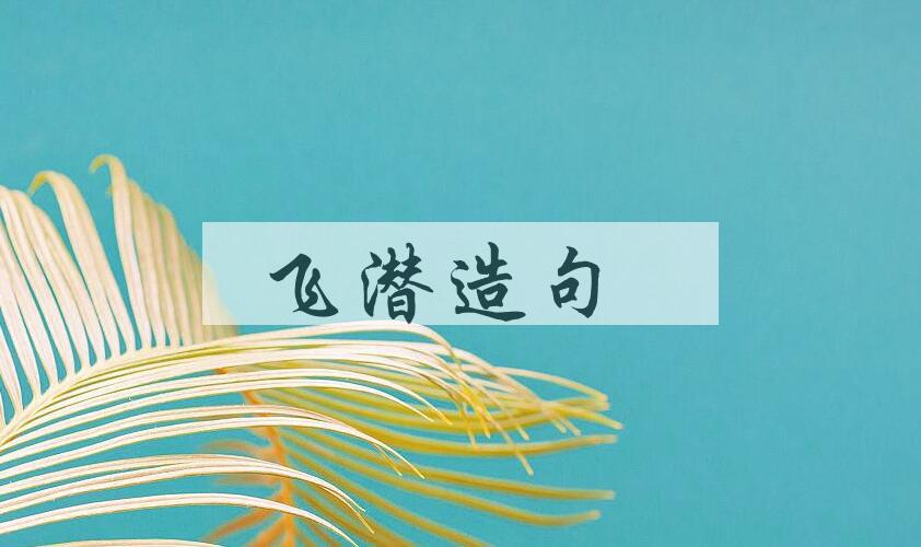 用飞潜造句