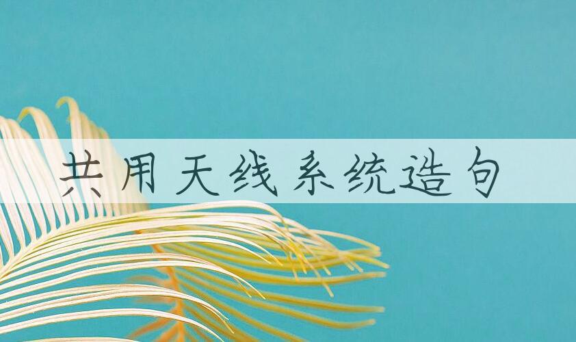 用共用天线系统造句