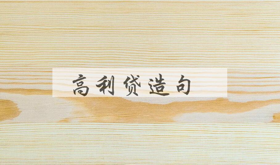 用高利贷造句