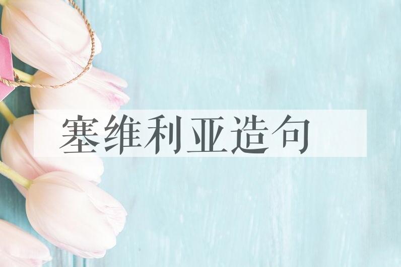 用塞维利亚造句