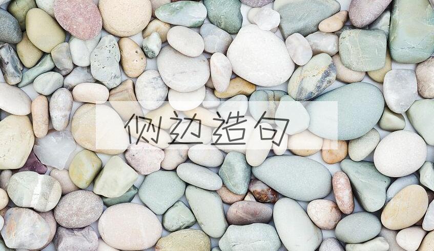 用侧边造句
