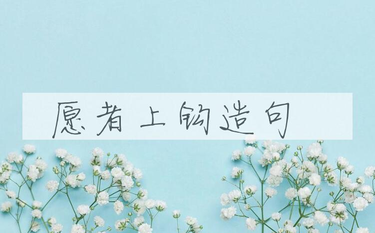 用愿者上钩造句