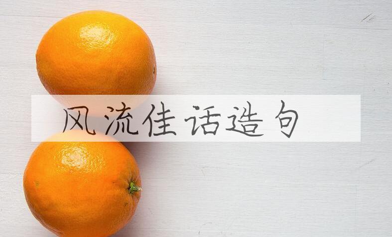用风流佳话造句