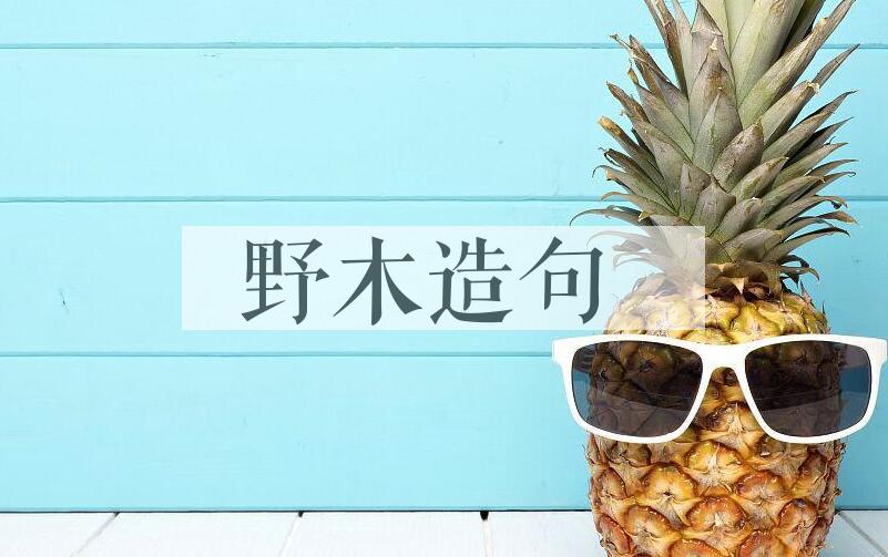 用野木造句