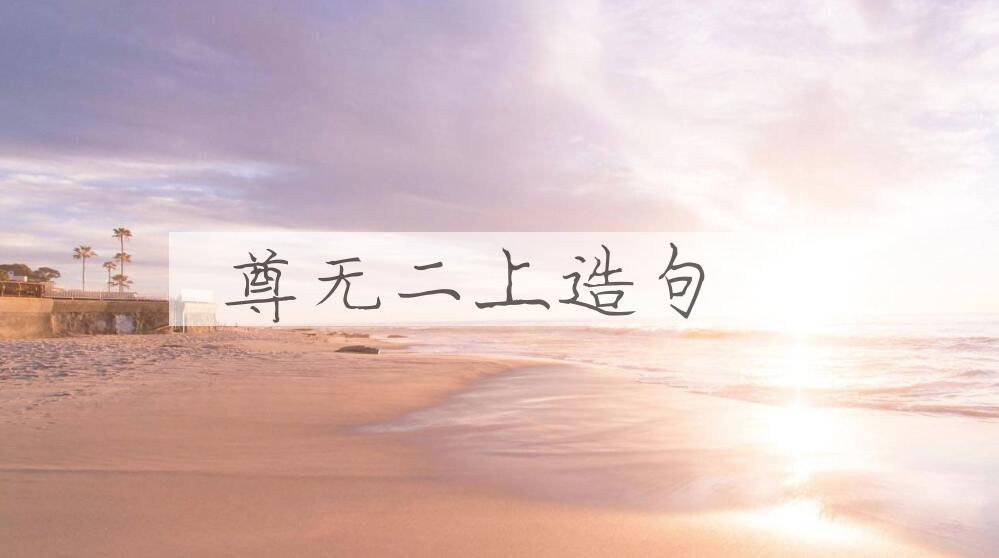 用尊无二上造句