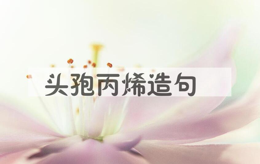 用头孢丙烯造句