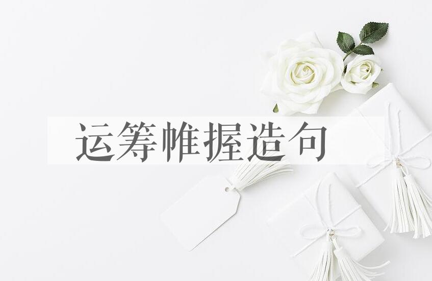 用运筹帷握造句