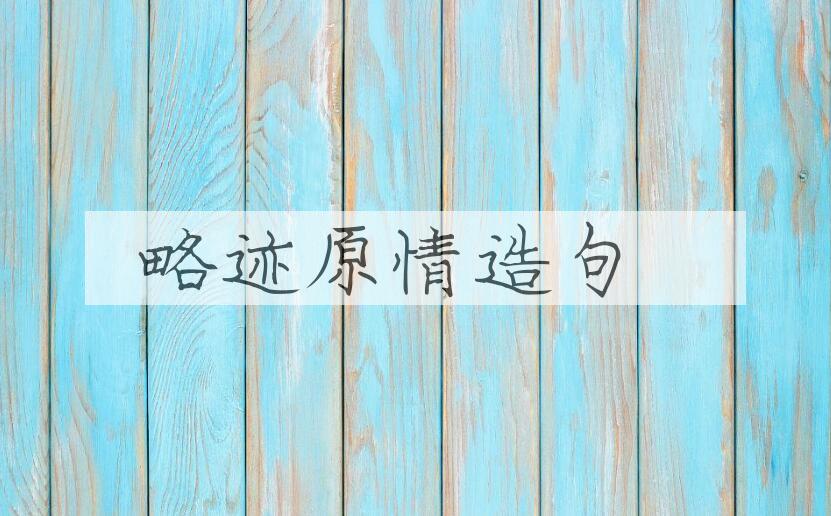 用略迹原情造句