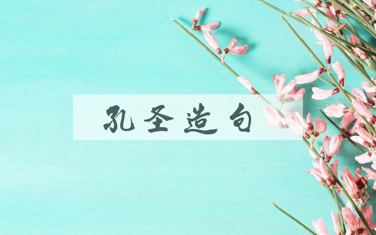 用孔圣造句