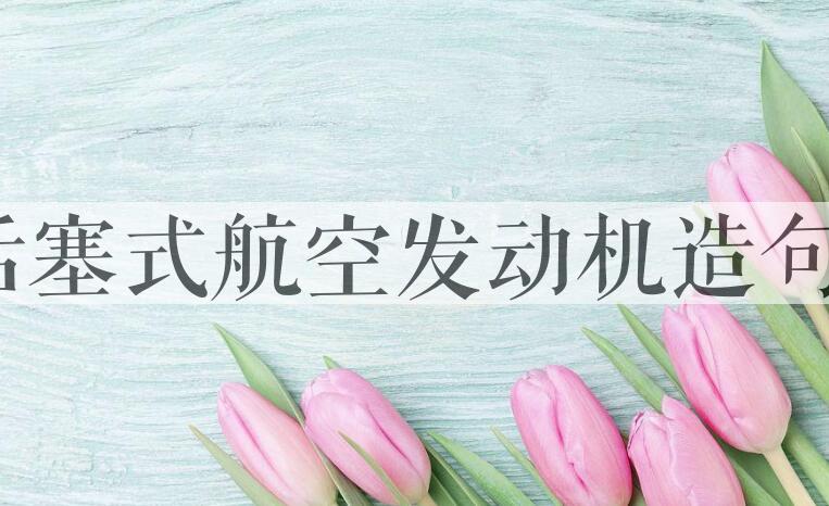 用活塞式航空发动机造句