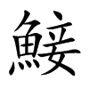 鯜