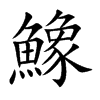 鱌